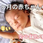 【生後1ヶ月】赤ちゃんの1日/ルーティン/里帰り中/完母育児/寝不足辛い