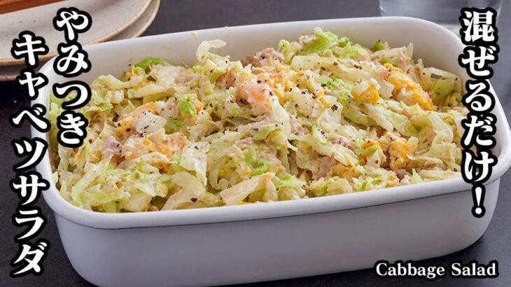 キャベツサラダの作り方！混ぜるだけで簡単お手軽！キャベツの大量消費に！無限やみつきサラダです。-How to make Cabbage Salad-【料理研究家ゆかり】