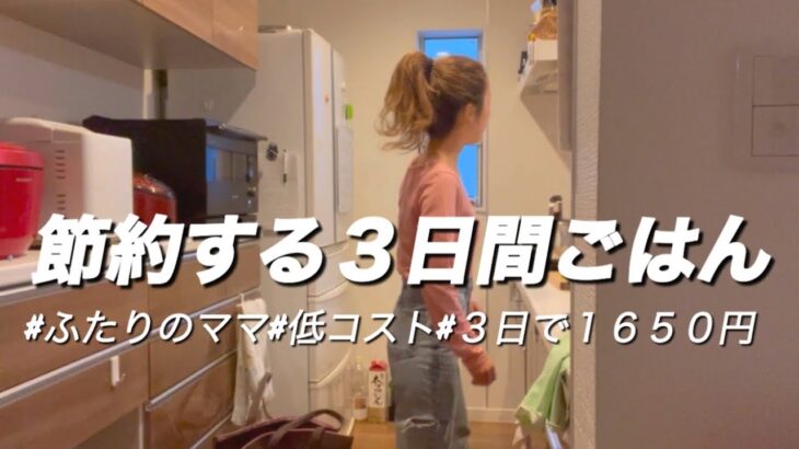 【節約術】食費3日間1650円で暮らす/主婦vlog【業務スーパー】
