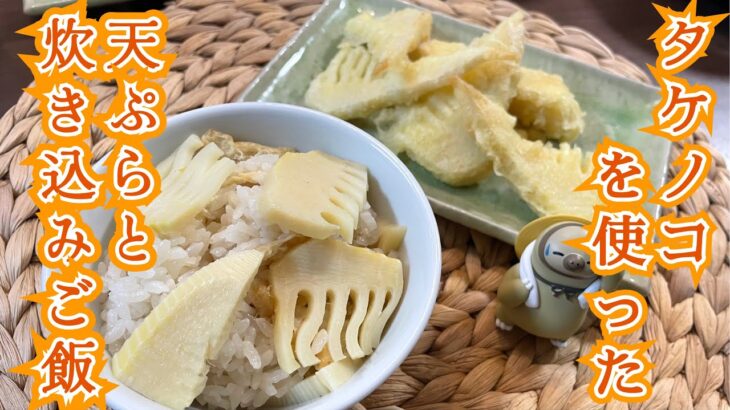 【タケノコの天ぷら、炊き込みご飯】今が旬なたけのこレシピを紹介✨#レシピ#簡単#作り方
