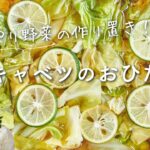【春野菜の作り置き】春キャベツのおひたしのレシピ・作り方