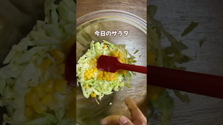 簡単野菜サラダ／蒸しキャベツ／ツナコーン／節約レシピ
