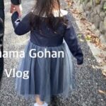 【vlog】アラフォーママのリアルな子育て記録/入園式の朝はバタバタ/3年間の家庭保育終わり