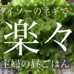 (50代主婦vlog￼) ダイソーの種で家計が大助かり❗️主婦の昼ご飯/￼つるなしいんげん25円￼モロヘイヤ13円の種蒔き/節約主婦/丁寧な暮らし