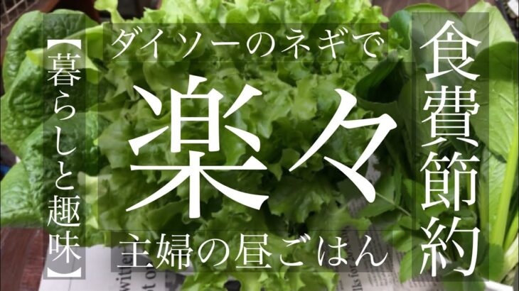 (50代主婦vlog￼) ダイソーの種で家計が大助かり❗️主婦の昼ご飯/￼つるなしいんげん25円￼モロヘイヤ13円の種蒔き/節約主婦/丁寧な暮らし