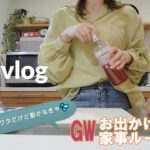 主婦vlog【バースデイ購入品🛍/お出かけ後の家事🍳/GWの1日】