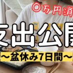 【夏の家計公開】浪費家主婦、1番の節約法は○○だった。【扶養内パートのお金事情/ぼっち主婦】