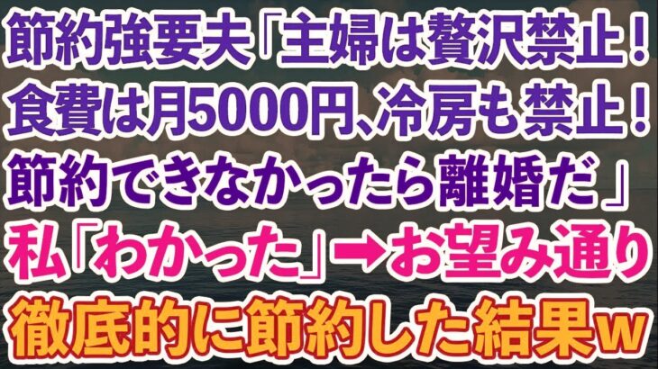 【スカッとする話】節約強要夫「主婦は贅沢するな！食費は月5000円、冷房も禁止！節約できなかったら離婚だ」私「いいけど」→お望み通り徹底的に節約した結果