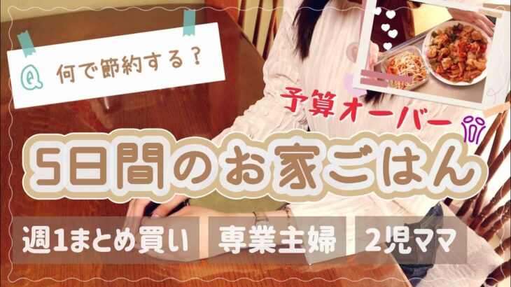 【おうちごはん🍚】節約主婦丨2児ママ丨週1まとめ買い丨食費公開