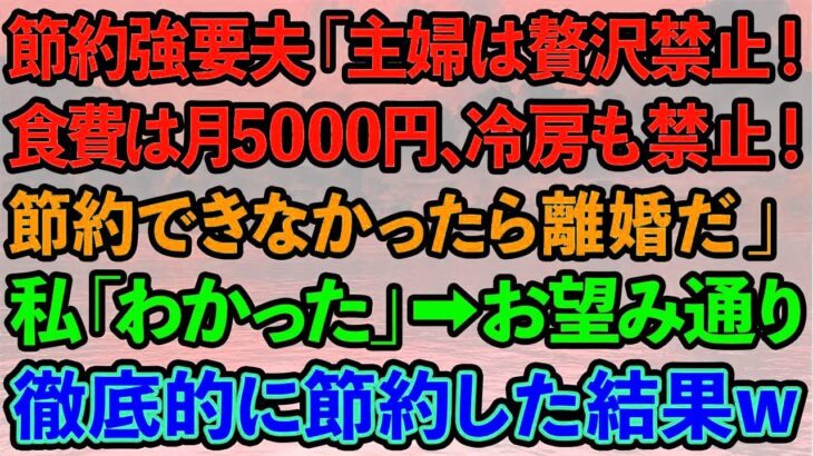 【スカッとする話】節約強要夫「主婦は贅沢するな！食費は月5000円、冷房も禁止！節約できなかったら離婚だ」私「いいけど」→お望み通り徹底的に節約した結果