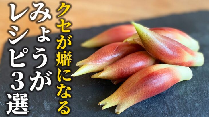 【みょうがレシピ３選】料理屋が教える！薬味野菜をメインで美味しく食べられる調理法【基本の和食】